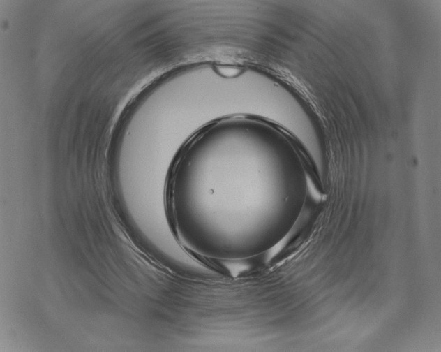 X0000071850392200607141755