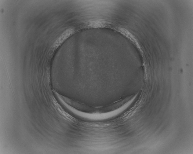 X0000071850393200607141755