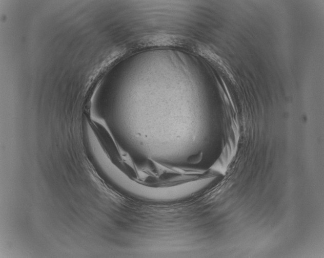 X0000071850394200607141755