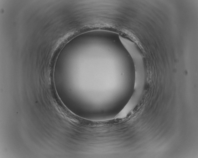 X0000071850395200607141755