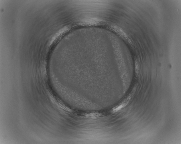 X0000071850396200607141755