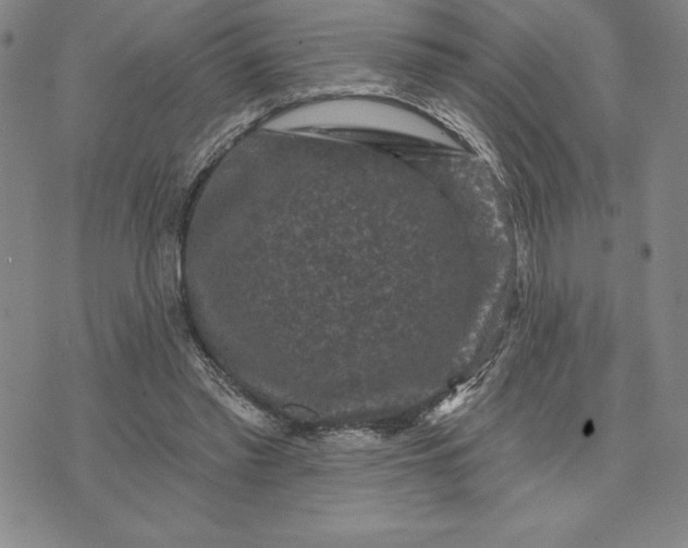 X0000071850397200607141755