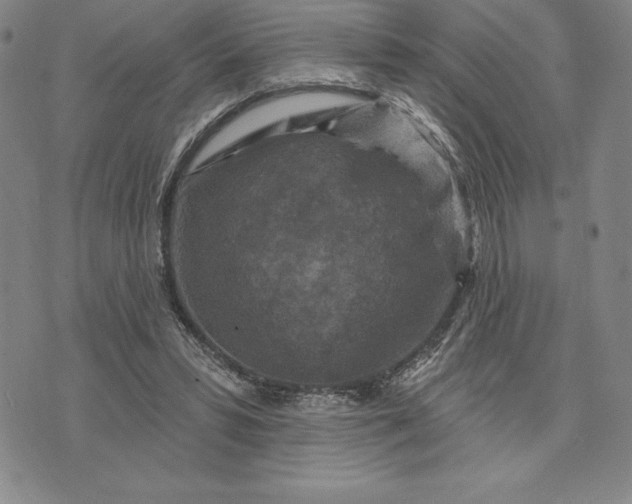 X0000071850399200607141755