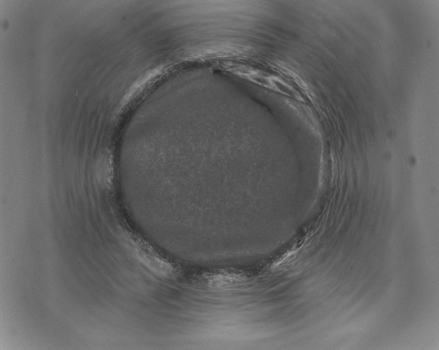 X0000071850400200607141755