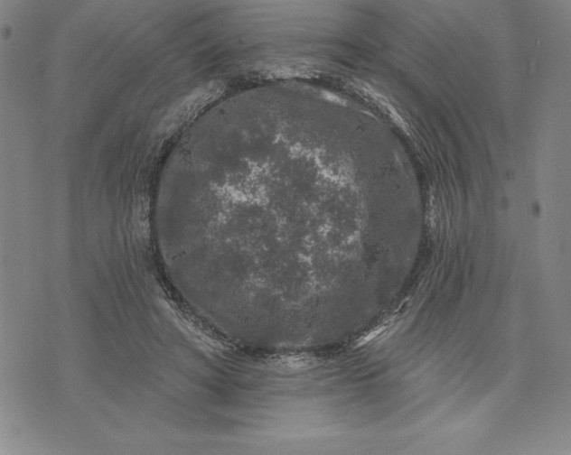 X0000071850402200607141755