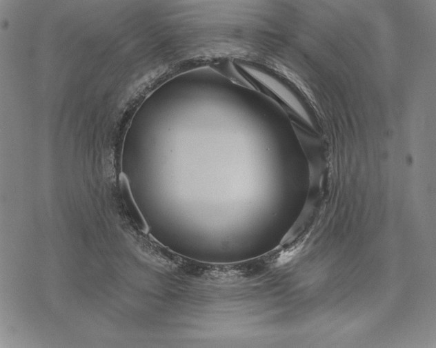 X0000071850403200607141755