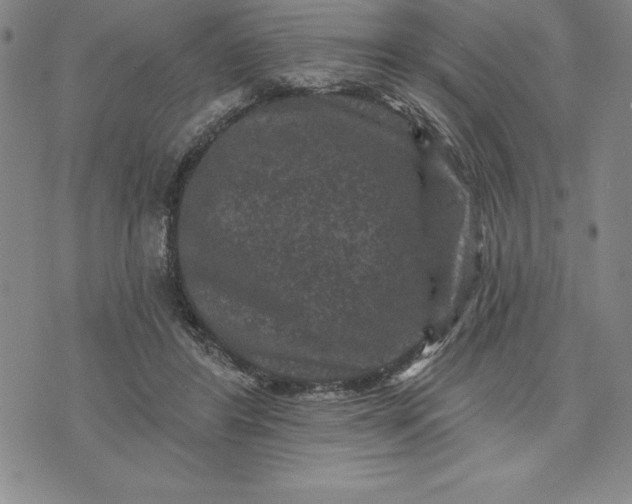 X0000071850404200607141755