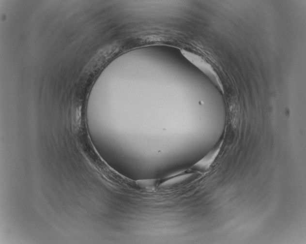 X0000071850406200607141755