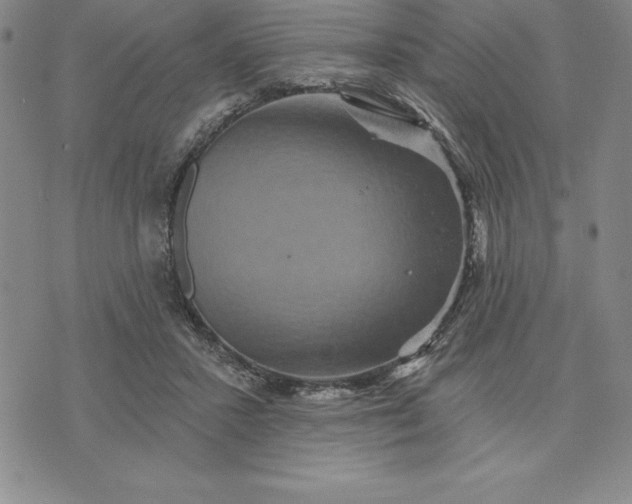 X0000071850407200607141755