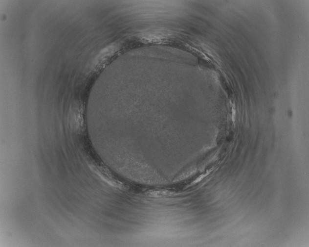 X0000071850408200607141755