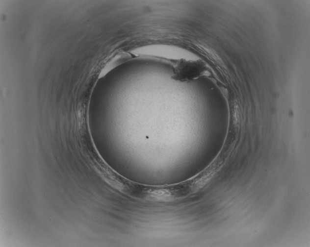 X0000071850409200607141755