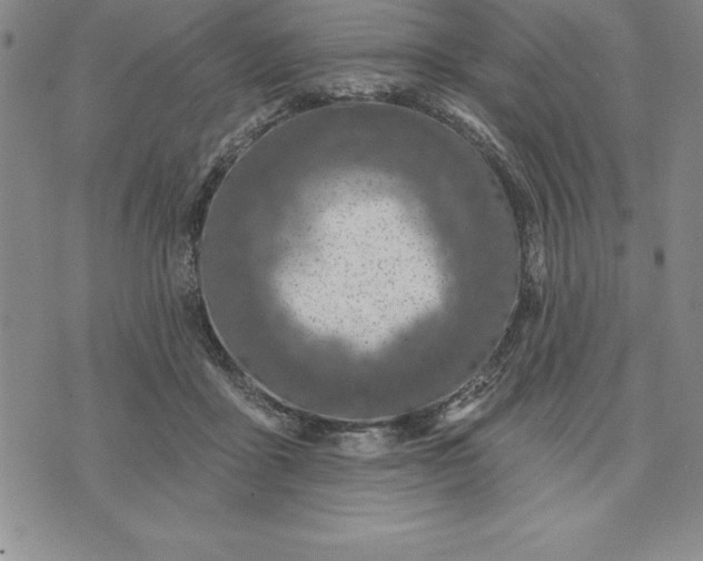 X0000071850411200607141755