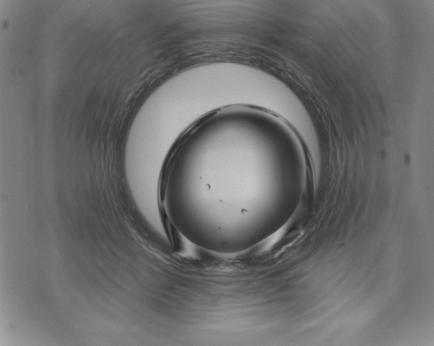 X0000071850412200607141755