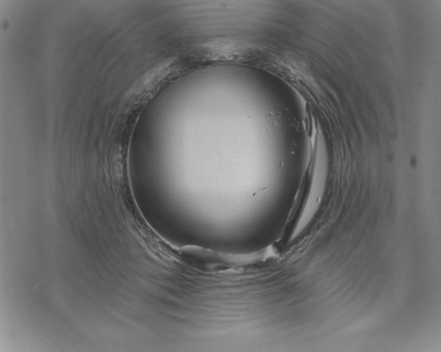 X0000071850413200607141755