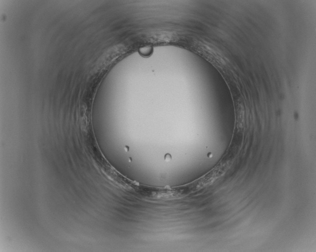 X0000071850414200607141755