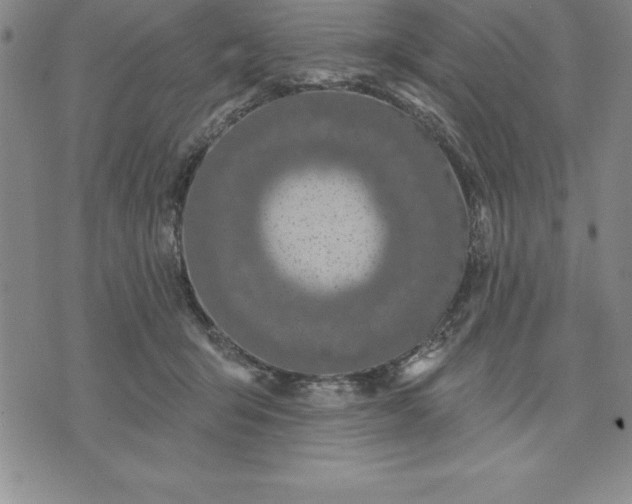 X0000071850415200607141755