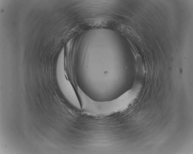 X0000071850416200607141755