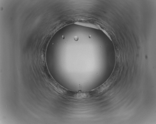 X0000071850418200607141755