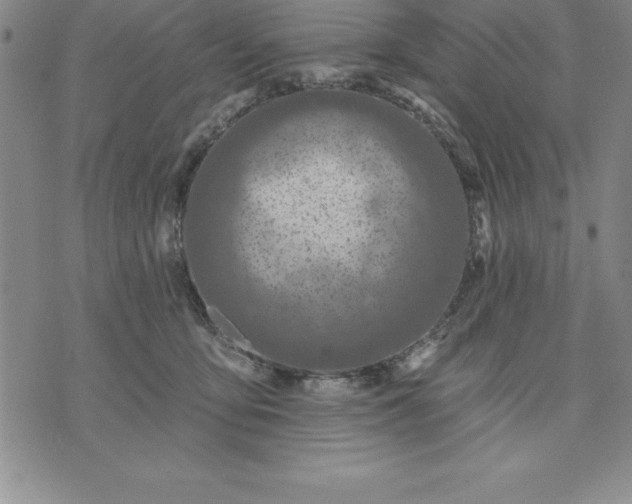 X0000071850419200607141755