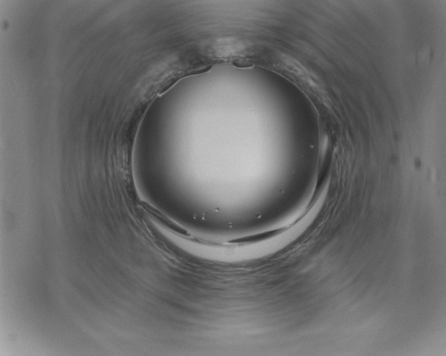 X0000071850421200607141755