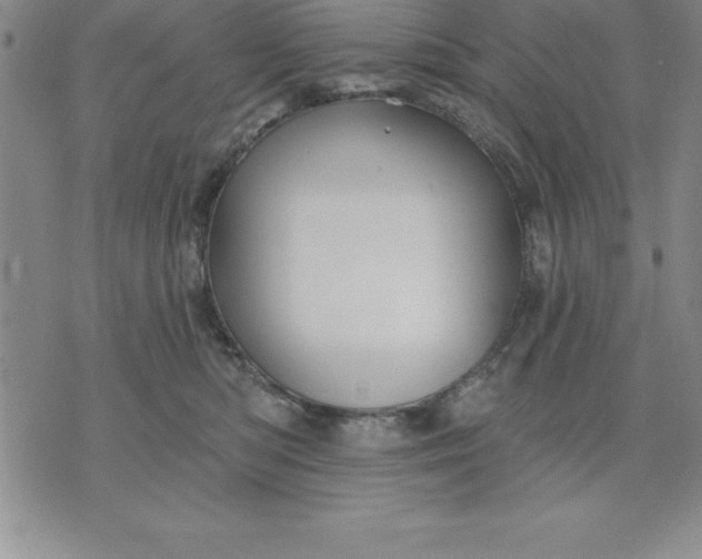 X0000071850422200607141755