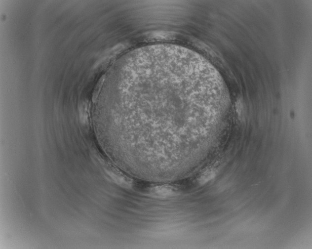 X0000071850423200607141755