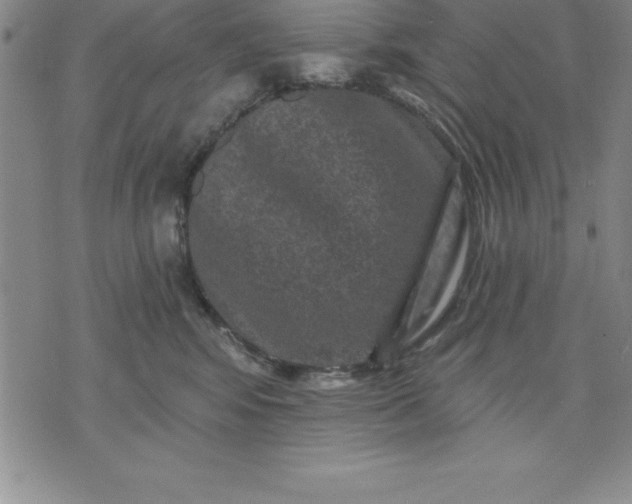 X0000071850424200607141755