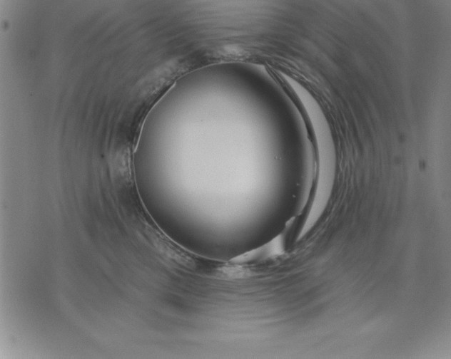 X0000071850425200607141755