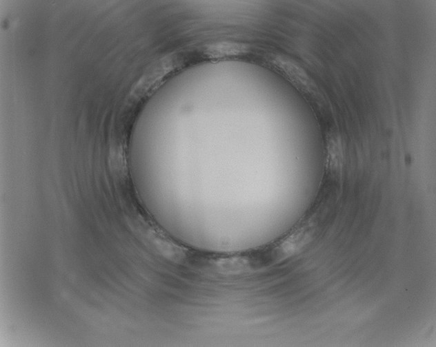 X0000071850426200607141755