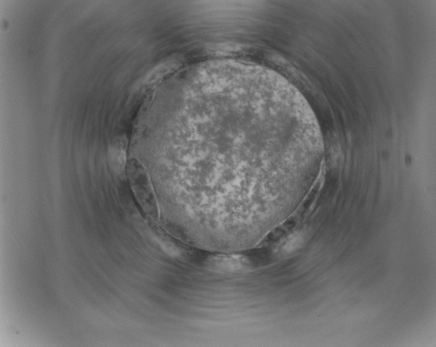 X0000071850427200607141755