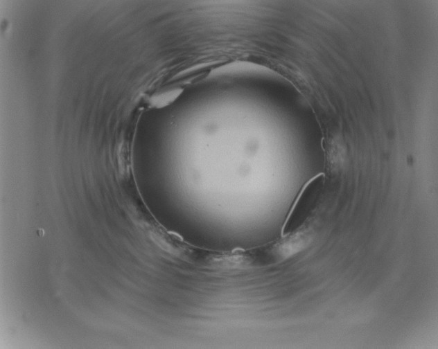 X0000071850428200607141755