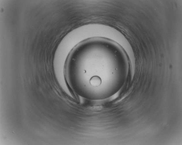 X0000071850429200607141755