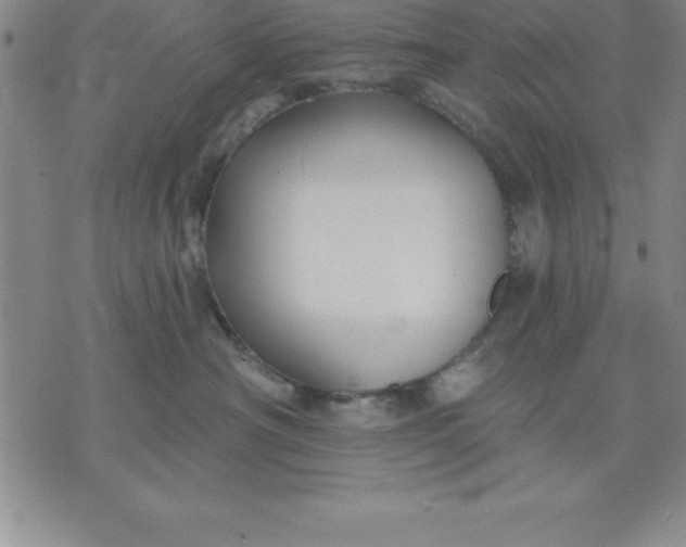 X0000071850430200607141755