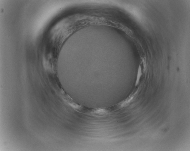 X0000071850431200607141755