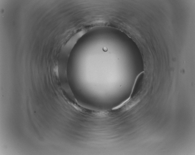 X0000071850432200607141755