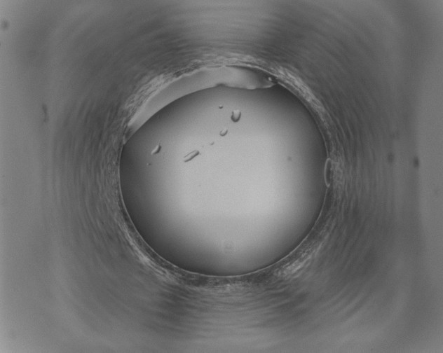 X0000071850433200607141754