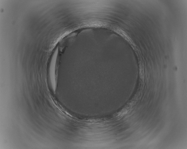 X0000071850434200607141754