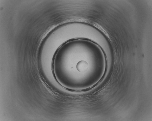 X0000071850436200607141754