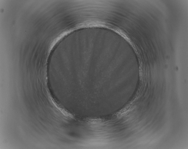 X0000071850438200607141754