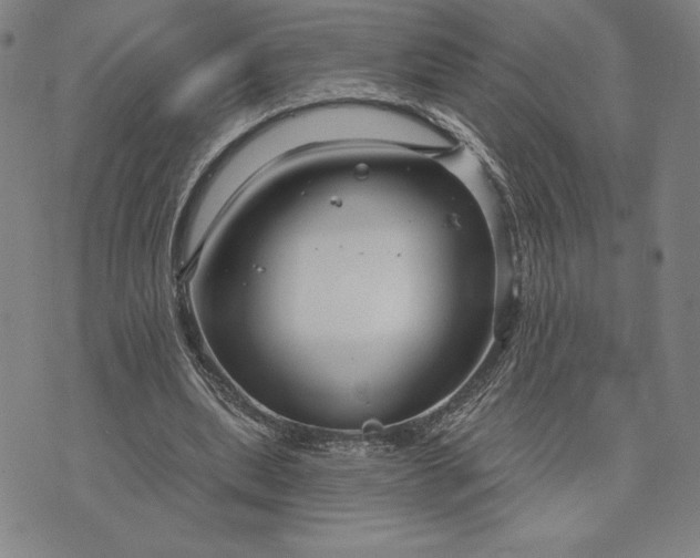 X0000071850439200607141754