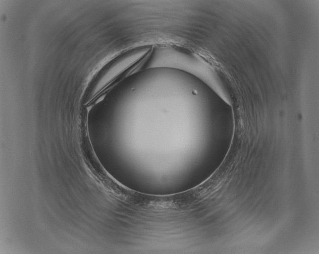 X0000071850440200607141754