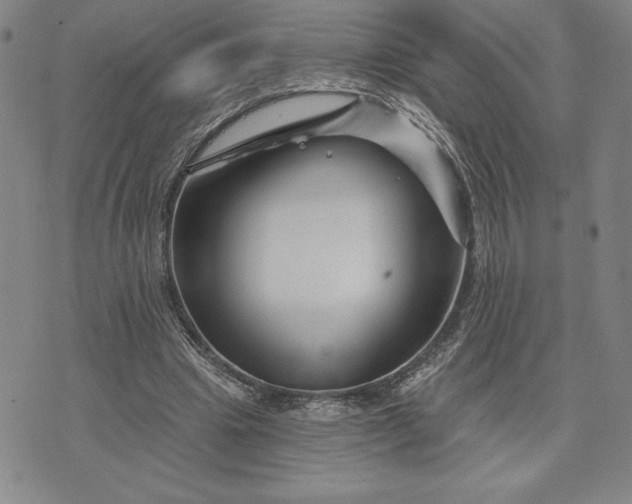 X0000071850441200607141754