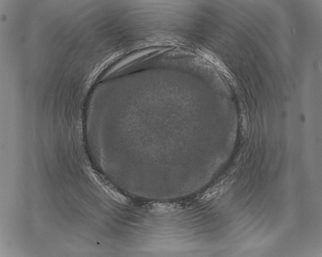 X0000071850442200607141754