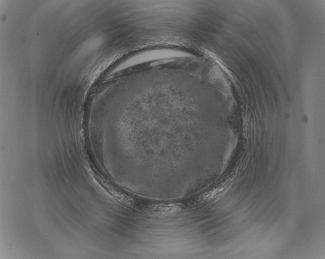 X0000071850443200607141754