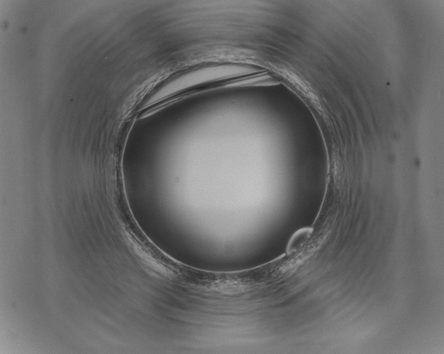 X0000071850445200607141754