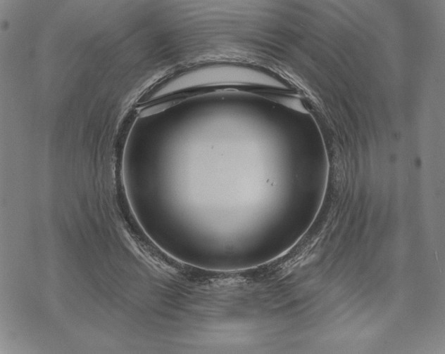 X0000071850446200607141754