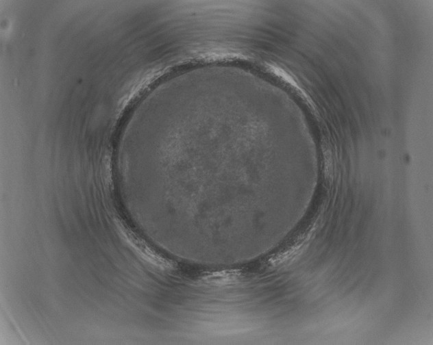 X0000071850447200607141754