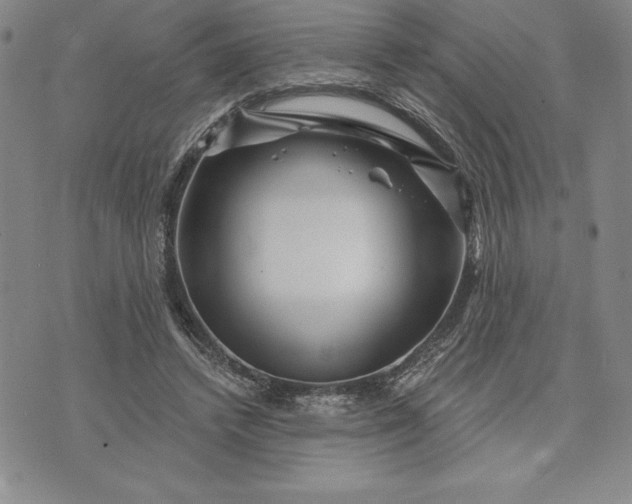 X0000071850448200607141754