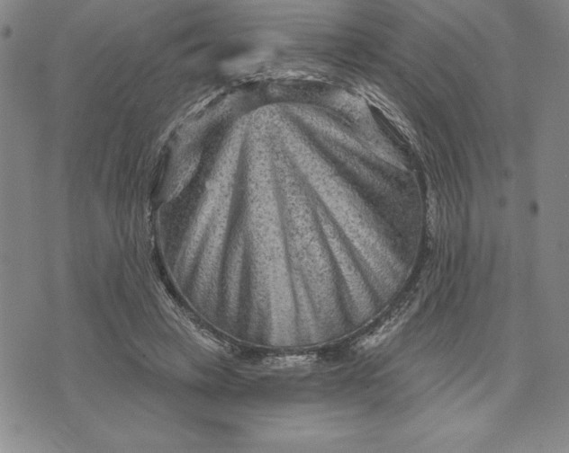 X0000071850449200607141754