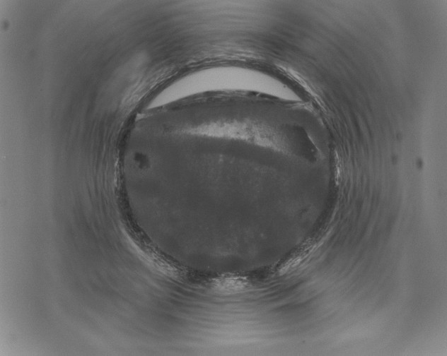 X0000071850451200607141754